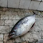 Ca' Blanca 4* Castelnuovo del Garda