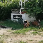 Bed and breakfast Ca' Blanca