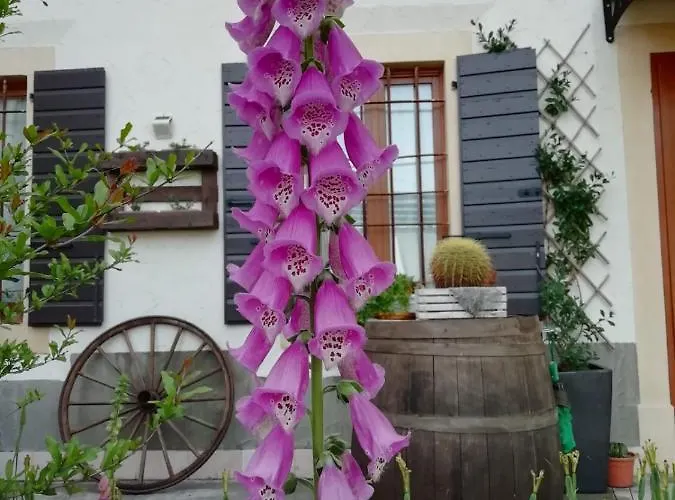 Bed & Breakfast Ca' Blanca Castelnuovo del Garda