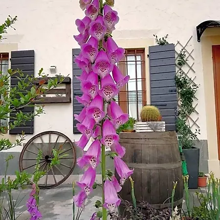 Bed & Breakfast Ca' Blanca