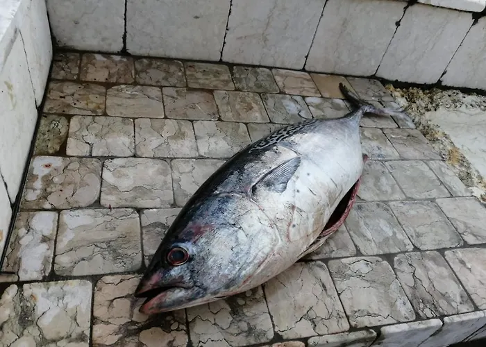 Ca' Blanca 4* 卡斯特努沃德加尔达