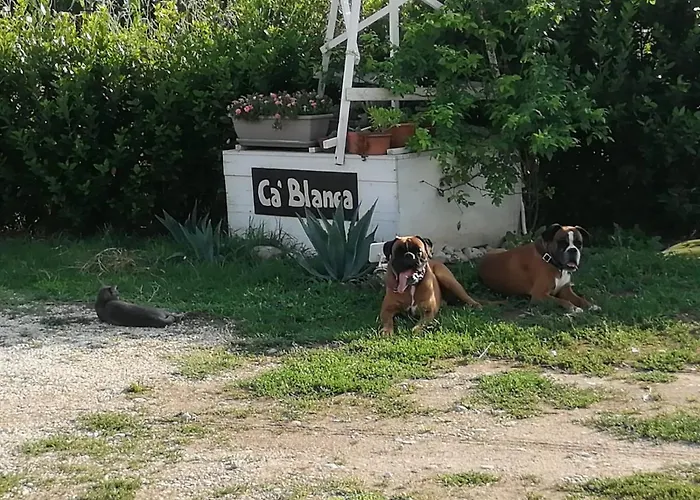 Nocleg ze śniadaniem Ca' Blanca