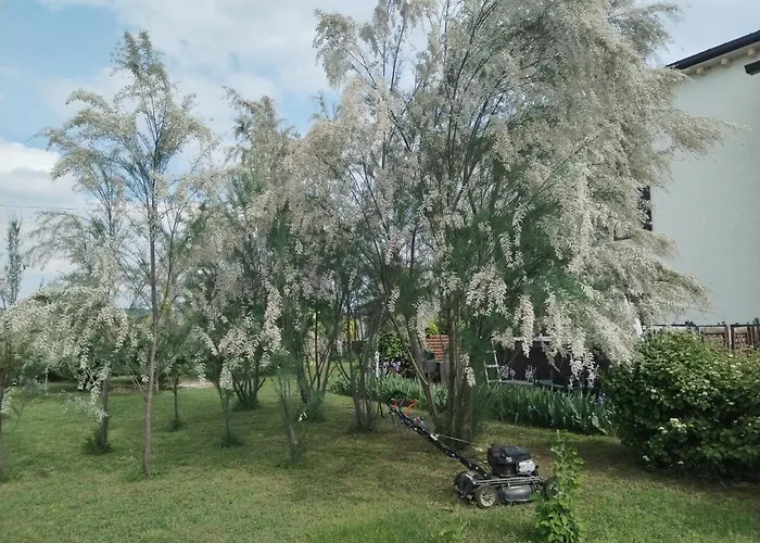 Ca' Blanca Nocleg ze śniadaniem