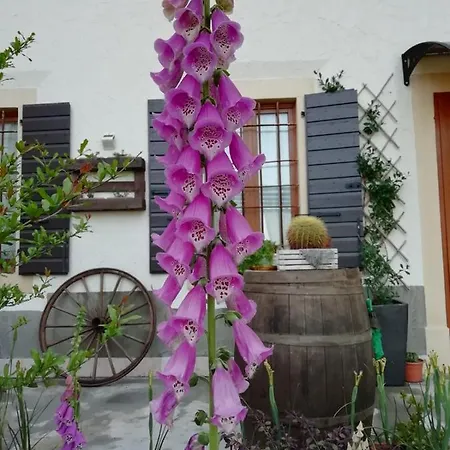 Bed & Breakfast Ca' Blanca Castelnuovo del Garda