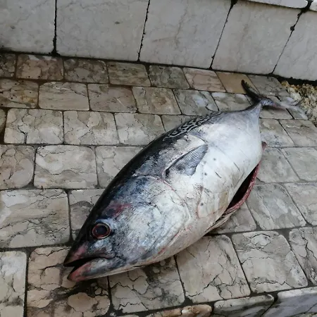 Ca' Blanca 4* Castelnuovo del Garda