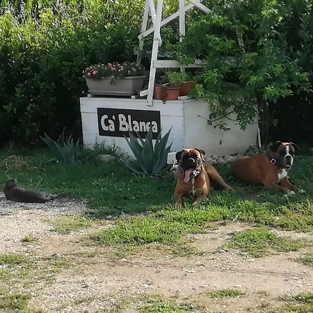 Bed and breakfast Ca' Blanca